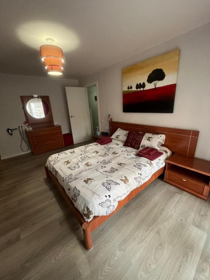 Apartamento Xativaアパートメント エクステリア 写真